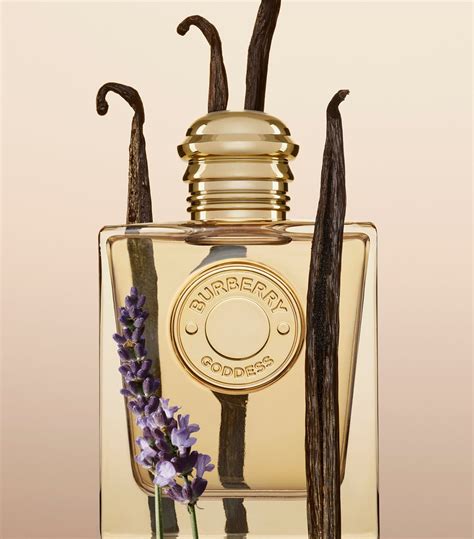 where to buy burberry goddess|burberry goddess perfume boots.